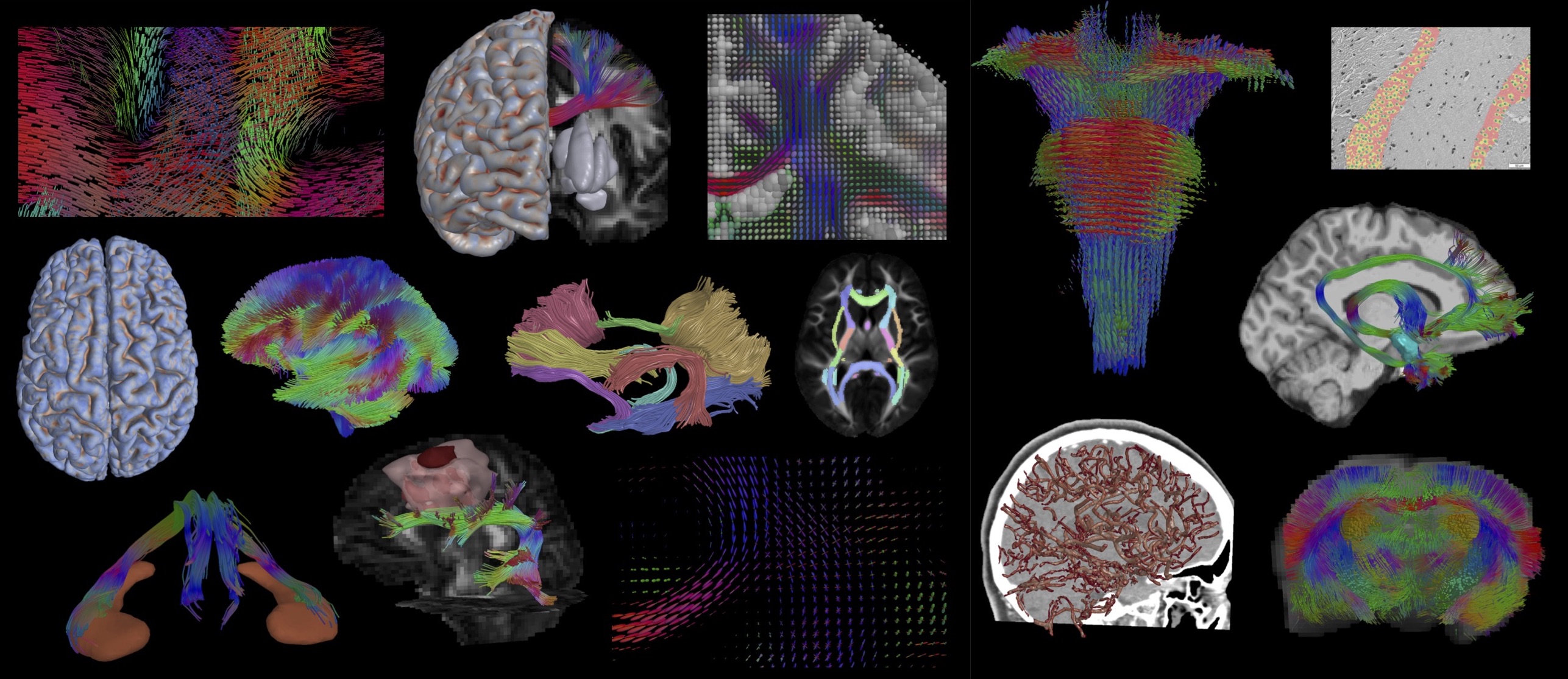 Quantitative IMaging Toolkit (QIT)