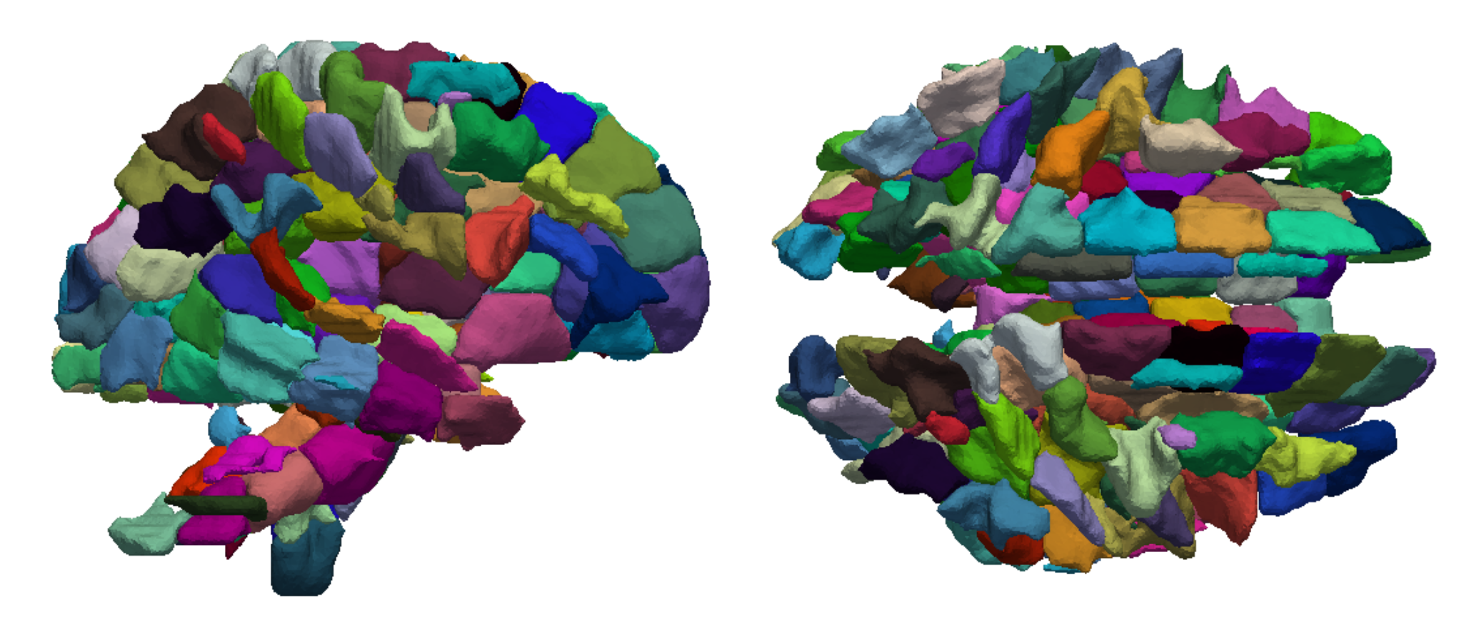 White matter research