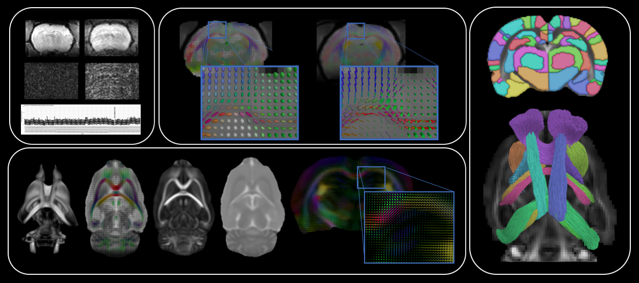 Computational methods