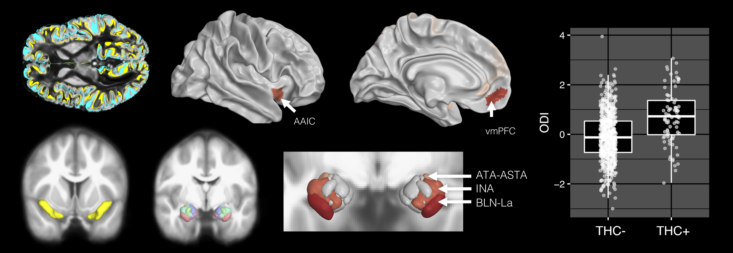 THC research visualization