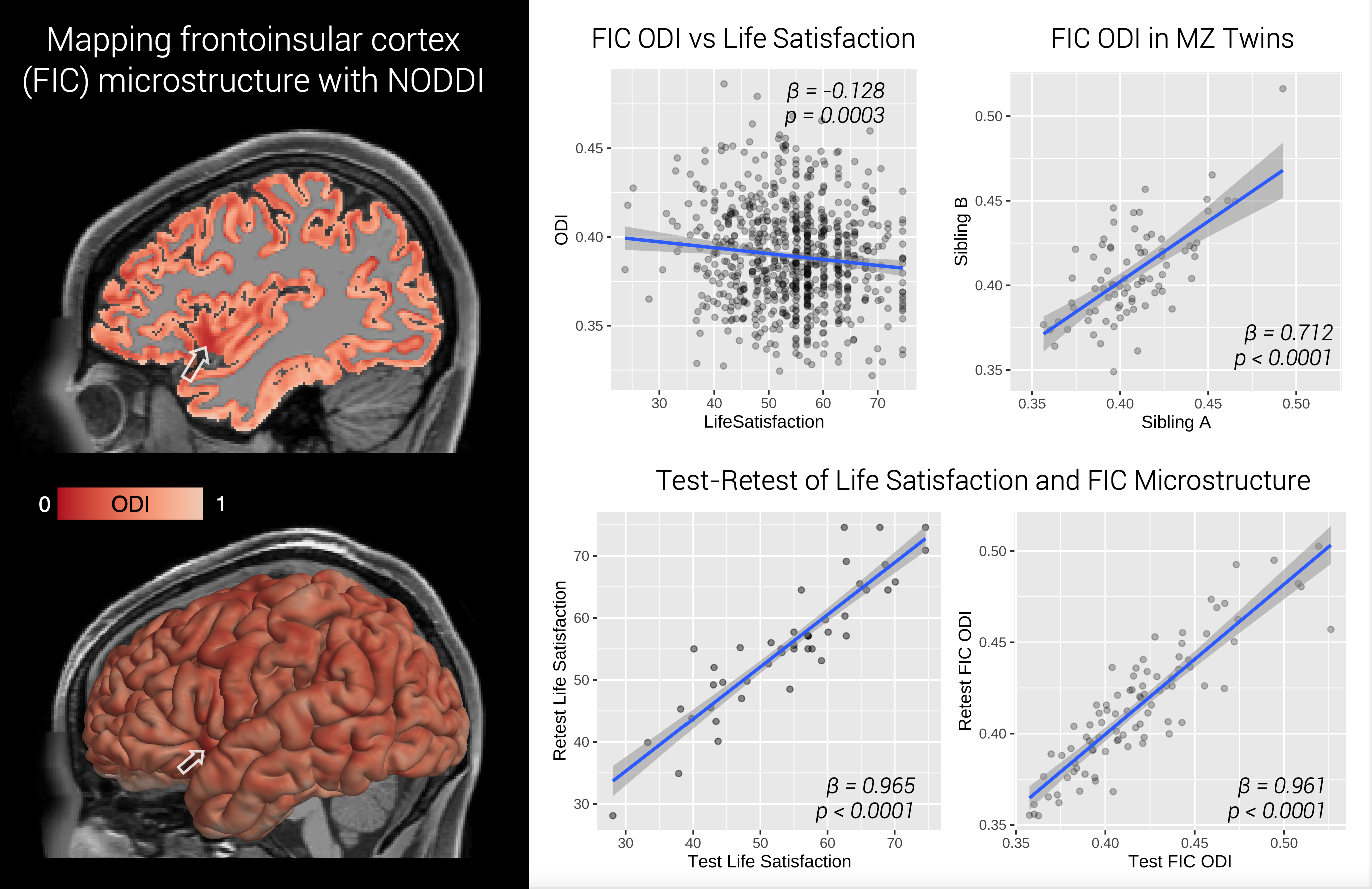 Frontoinsular cortex research