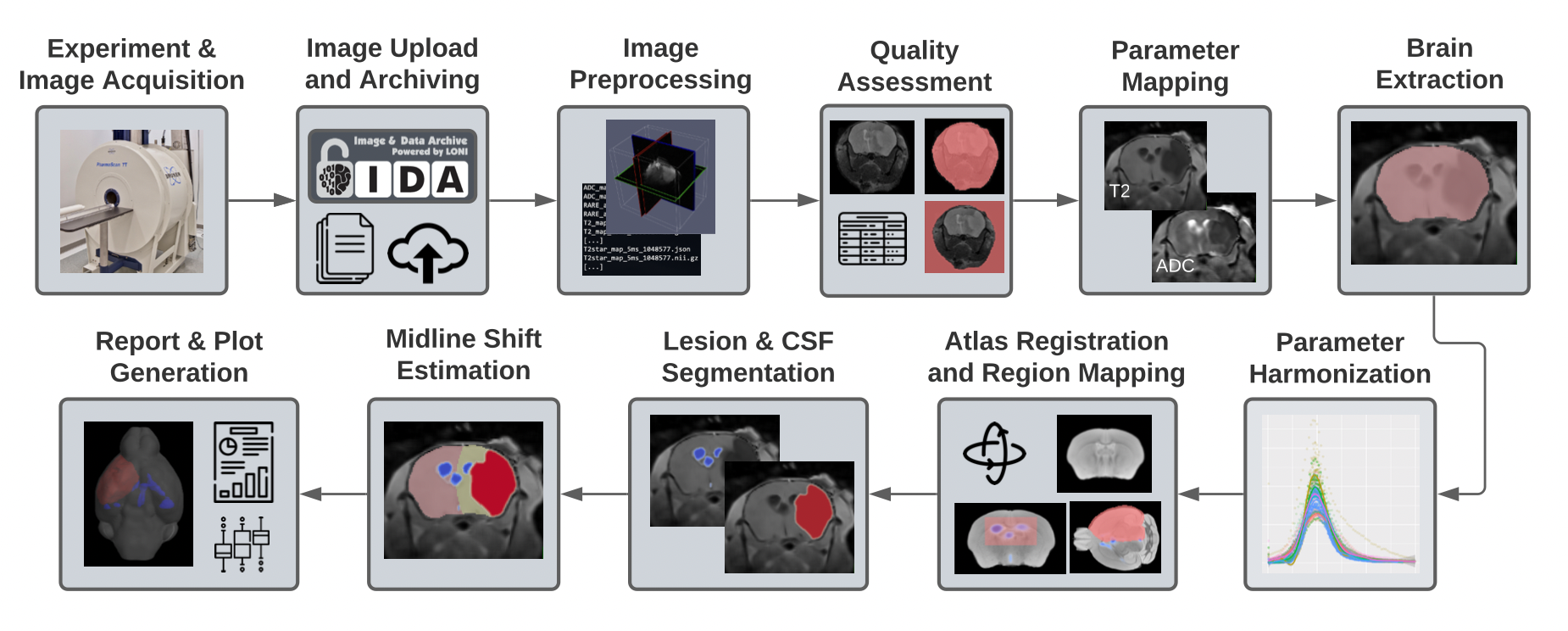 Image processing research